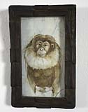Monkey Lady Portrait